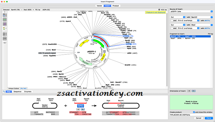 SnapGene License Key