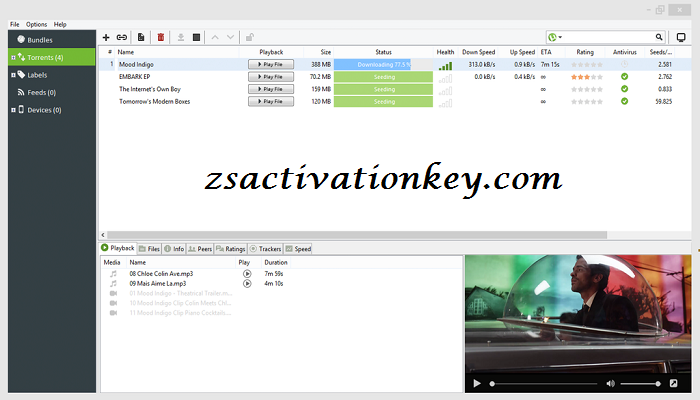 uTorrent Pro Activation Key